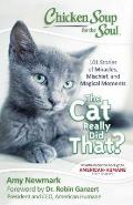 Chicken Soup for the Soul The Cat Really Did That 101 Stories of Miracles Mischief & Magical Moments