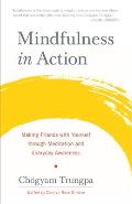 Mindfulness in Action Making Friends with Yourself Through Meditation & Everyday Awareness