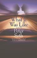 What It Was Like: A Novel of Love and Consequence