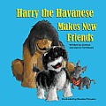 Harry the Havanese Makes New Friends