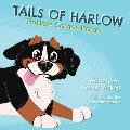 Tails of Harlow: Harlow Comes Home
