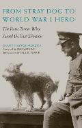 From Stray Dog To World War I Hero The Paris Terrier Who Joined The First Division