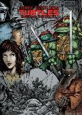 Teenage Mutant Ninja Turtles Ultimate Collection Volume 1
