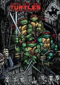 Teenage Mutant Ninja Turtles The Ultimate Collection Volume 3
