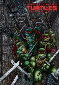 Teenage Mutant Ninja Turtles The Ultimate Collection Volume 4