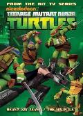 Teenage Mutant Ninja Turtles Animated Volume 2 New Friend Old Enemy