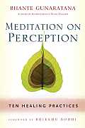 Meditation on Perception Ten Healing Practices to Cultivate Mindfulness