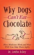 Why Can't Dogs Eat Chocolate: How Medicines Work and How You Can Take Them Safely