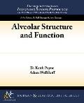 Alveolar Structure and Function