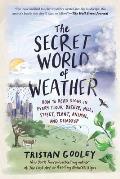 Secret World of Weather How to Read Signs in Every Cloud Breeze Hill Street Plant Animal & Dewdrop