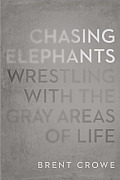 Chasing Elephants Wrestling with the Gray Areas of Life