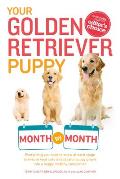 Your Golden Retriever Puppy Month by Month Everything You Need to Know
