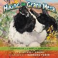 Hiking the Grand Mesa: A Clementine the Rescue Dog Story