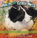 Hiking the Grand Mesa: A Clementine the Rescue Dog Story