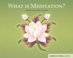 What Is Meditation?: Buddhism for Children Level Four