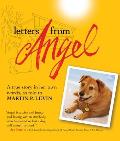 Letters from Angel: A True Story in Her Own Words
