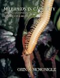 Millipeds in Captivity: Diplopodan Husbandry and Reproductive Biology (Millipede Husbandry)