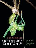 Orthopteran Zoology: How to Keep Grasshoppers, Crickets, and Katydids