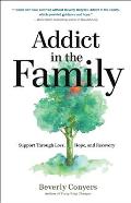 Addict in the Family Support Through Loss Hope & Recovery