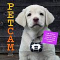 Petcam The Art of Dogs Cats Cows & Other Four Legged Photographers