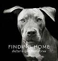 Finding Home Shelter Dogs & Their Stories