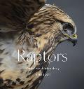 Raptors: Birds of Prey: Portraits of Birds of Prey