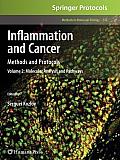 Inflammation and Cancer: Methods and Protocols: Volume 2, Molecular Analysis and Pathways