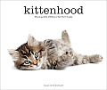 Kittenhood Life size Portraits of Kittens in Their First 12 Weeks