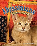 Abyssinians: Egyptian Royalty?
