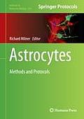 Astrocytes: Methods and Protocols