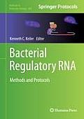 Bacterial Regulatory RNA: Methods and Protocols