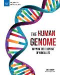 The Human Genome: Mapping the Blueprint of Human Life