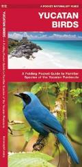 Yucatan Birds: A Folding Pocket Guide to Familiar Species of the Yucatan Peninsula