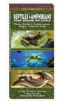 Reptiles & Amphibians from Around the World: Pocket Guides to Turtles, Lizards, Snakes, Frogs and Toads