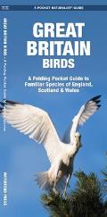 Great Britain Birds 2nd Edition A Folding Pocket Guide to Familiar Species of England Scotland & Wales