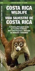 Costa Rica Wildlife Vida Silvestre de Costa Rica A Folding Pocket Guide to Familiar Animals Una Guia Plegable Portatil de Animales Conocidas