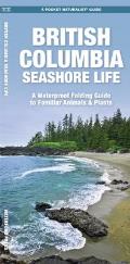 British Columbia Seashore Life