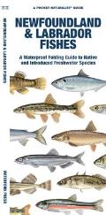 Newfoundland & Labrador Fishes: A Waterproof Folding Guide to Native and Introduced Freshwater Species