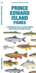 Prince Edward Island Fishes: A Waterproof Folding Guide to Native and Introduced Freshwater Species