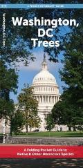 Washington, DC Trees: A Folding Pocket Guide to Native & Other Distinctive Species