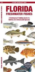 Florida Freshwater Fishes: A Waterproof Folding Guide to Native and Introduced Species