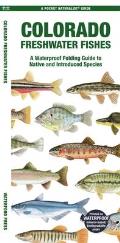 Colorado Freshwater Fishes: A Waterproof Folding Guide to Native and Introduced Species