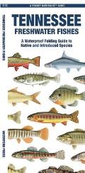 Tennessee Freshwater Fishes: A Waterproof Folding Guide to Native and Introduced Species