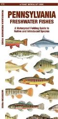 Pennsylvania Freshwater Fishes: A Waterproof Folding Guide to Native and Introduced Species