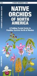 Native Orchids of North America: A Folding Pocket Guide to Familiar Species North of Mexico