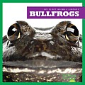 Bullfrogs