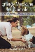 Energy Medicine for Animals: The Bioenergetics of Animal Healing