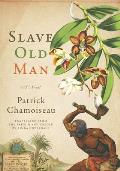 Slave Old Man A Novel