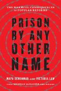 Prison by Any Other Name The Harmful Consequences of Popular Reforms