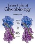 Essentials Of Glycobiology Third Edition
